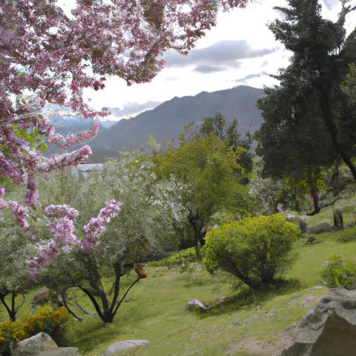 Multa y embargo por tráfico en Noruega: lo que necesitas saber