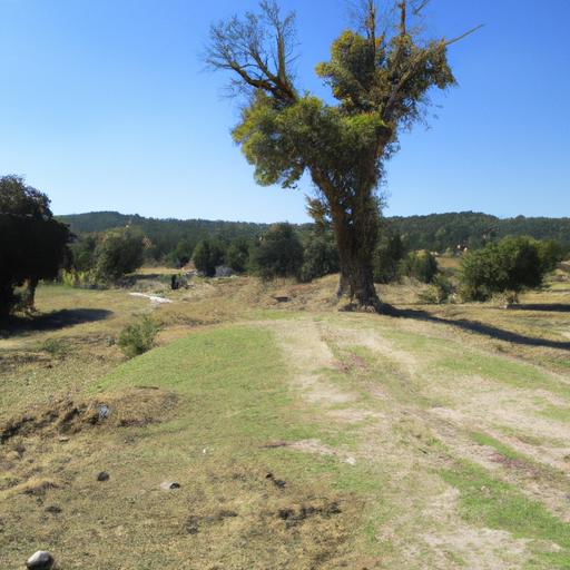 La ocupación nazi en Noruega durante la Segunda Guerra Mundial: detalles y consecuencias